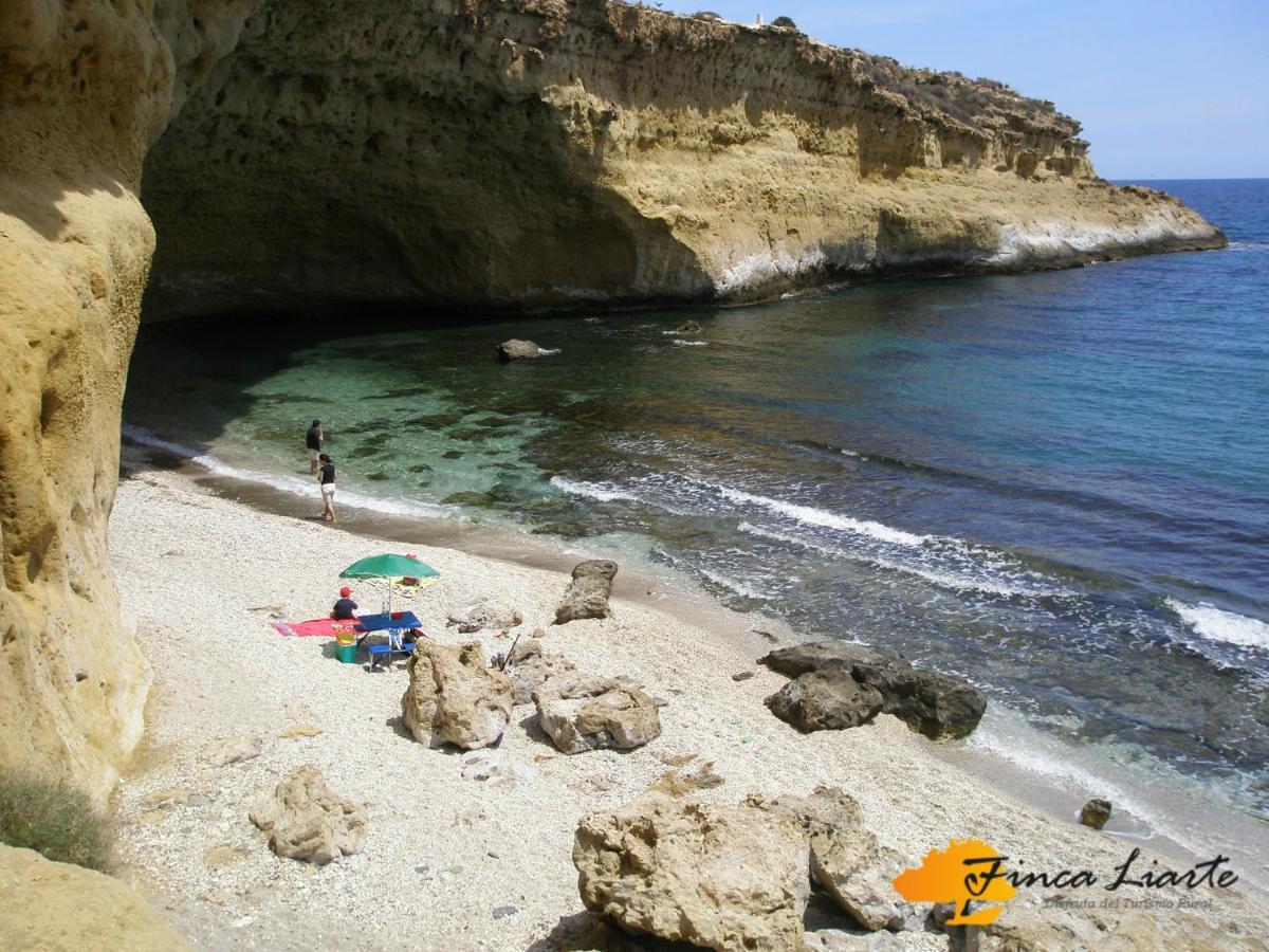 Fuente Alamo  Finca Liarte 게스트하우스 외부 사진