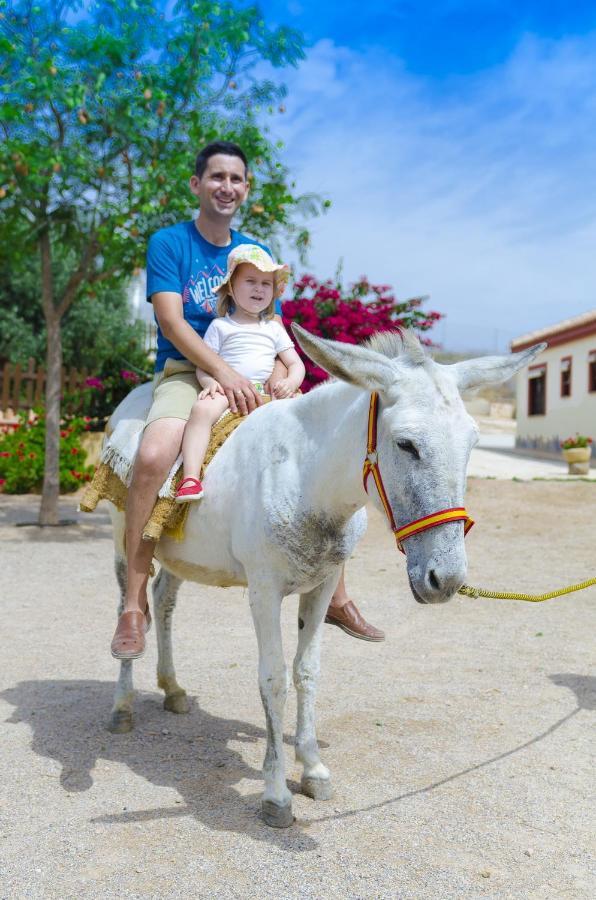 Fuente Alamo  Finca Liarte 게스트하우스 외부 사진